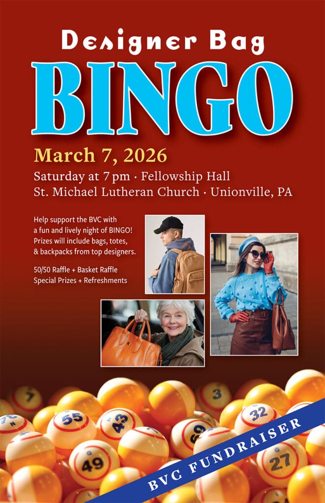 BVC BINGO 2026 poster